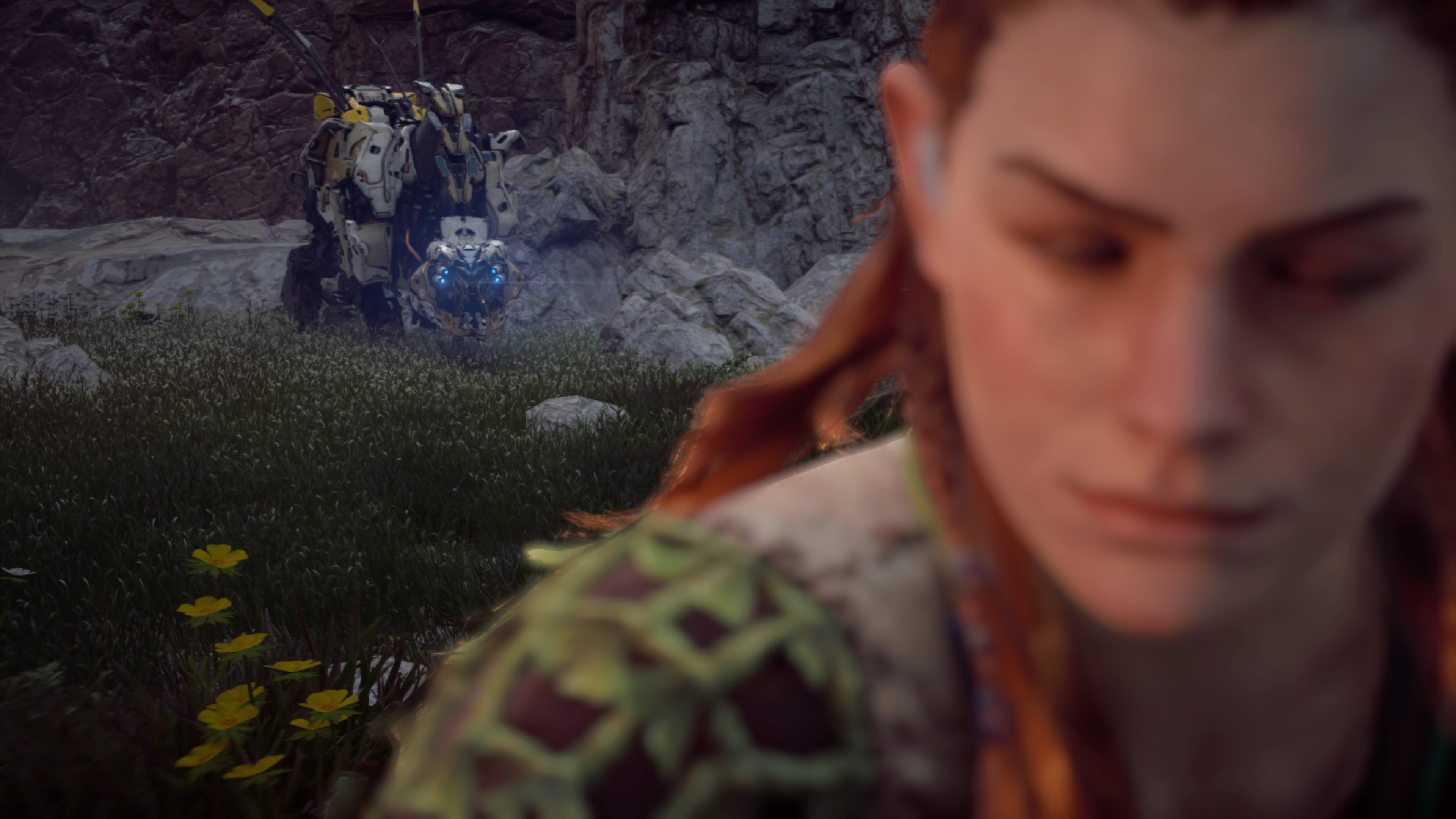 Horizon Zero Dawn™_20170311072905