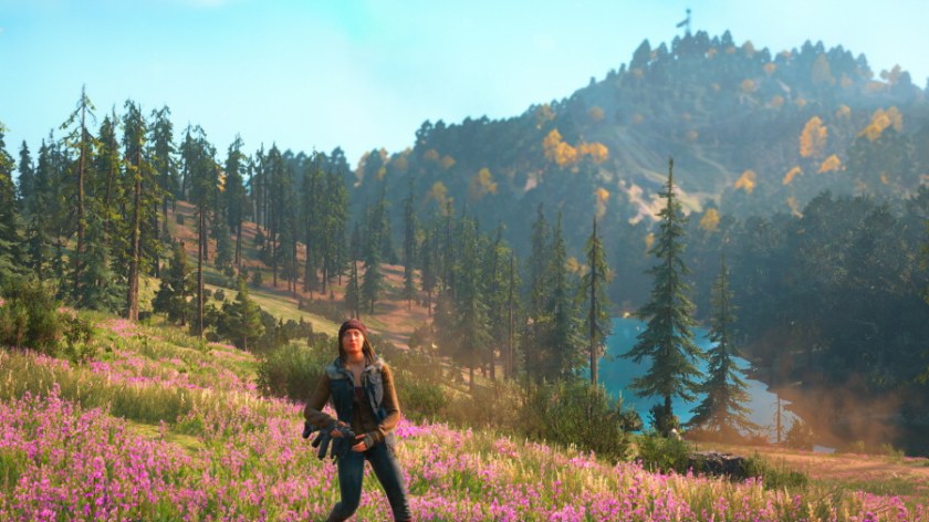 Far Cry?? New Dawn_20190306005753