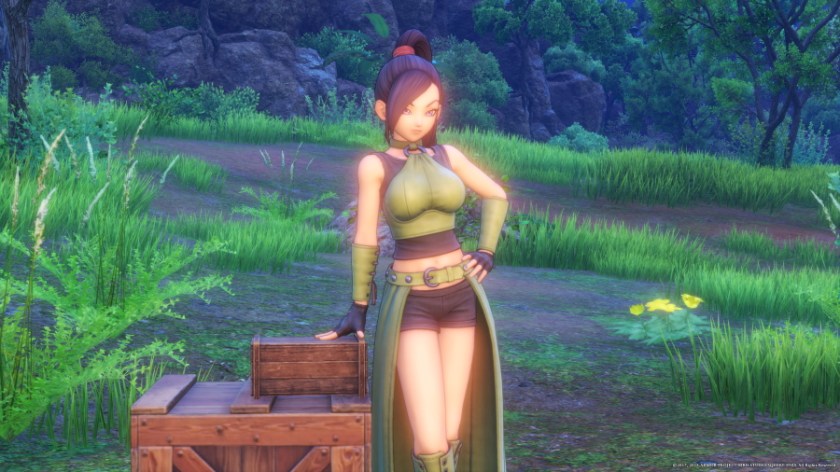 DRAGON QUEST XI: Echoes of an Elusive Age_20190613082612